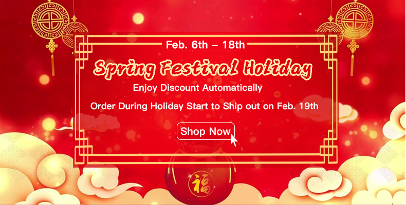 VXDAS 2021 Spring Festival Holidays Notice