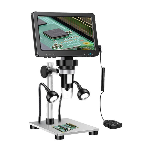 Digital Microscope Display